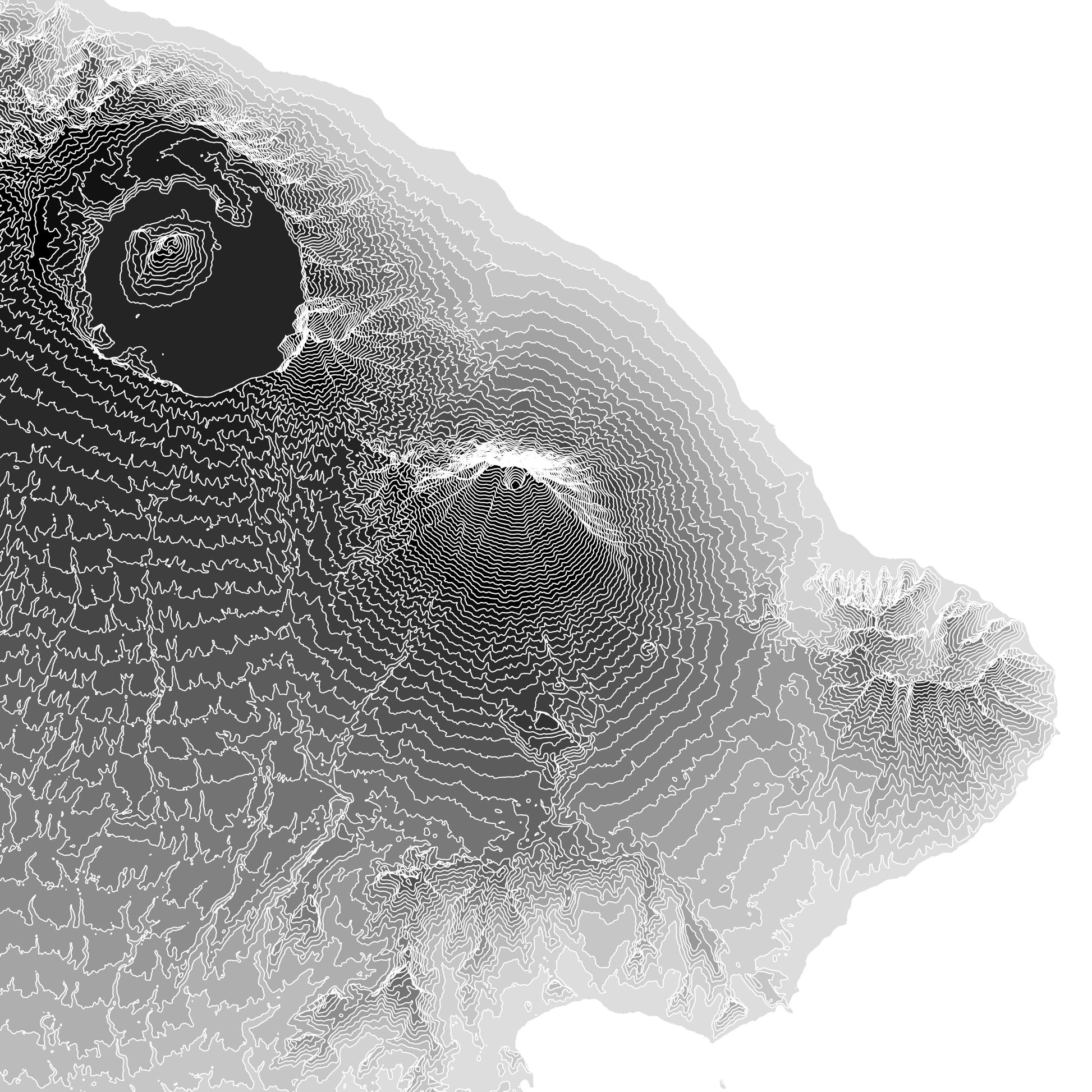 Bali Print Topographic Map