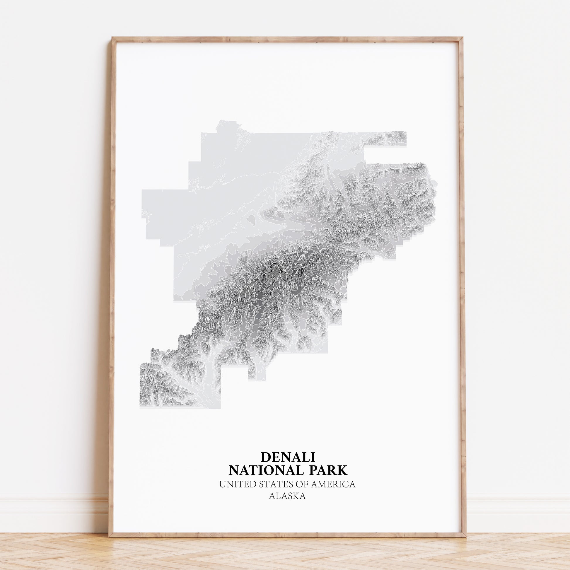 Denali Alaska National Park Poster