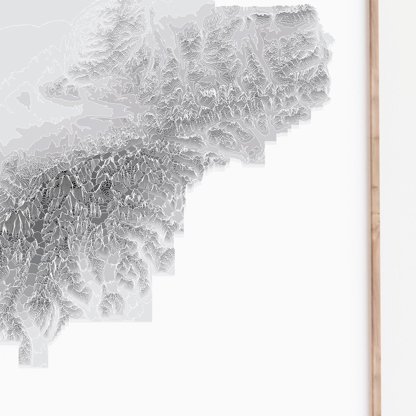 Denali National Park Travel Poster