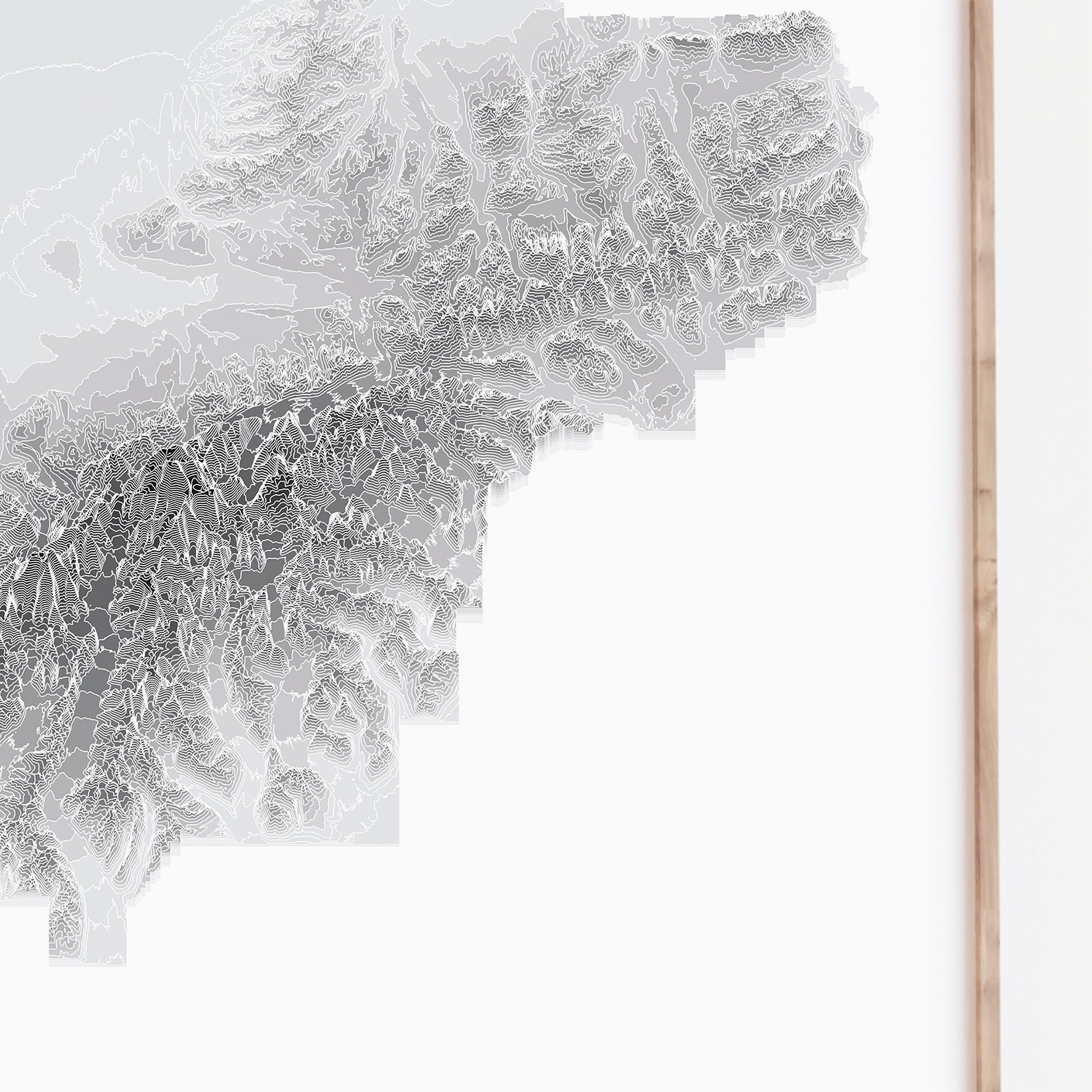 Denali National Park Travel Poster