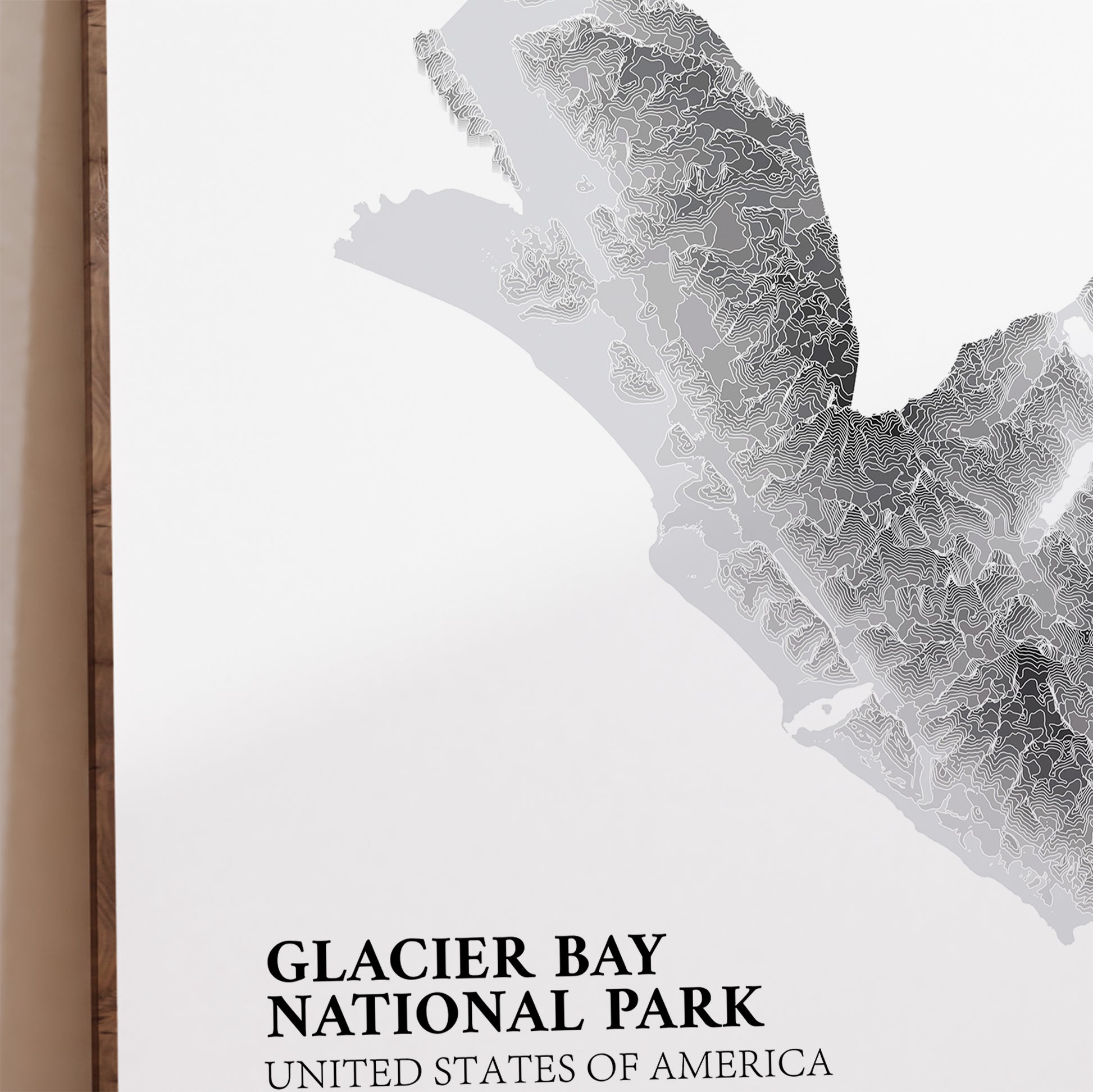 Glacier Bay Alaska Topographic Map