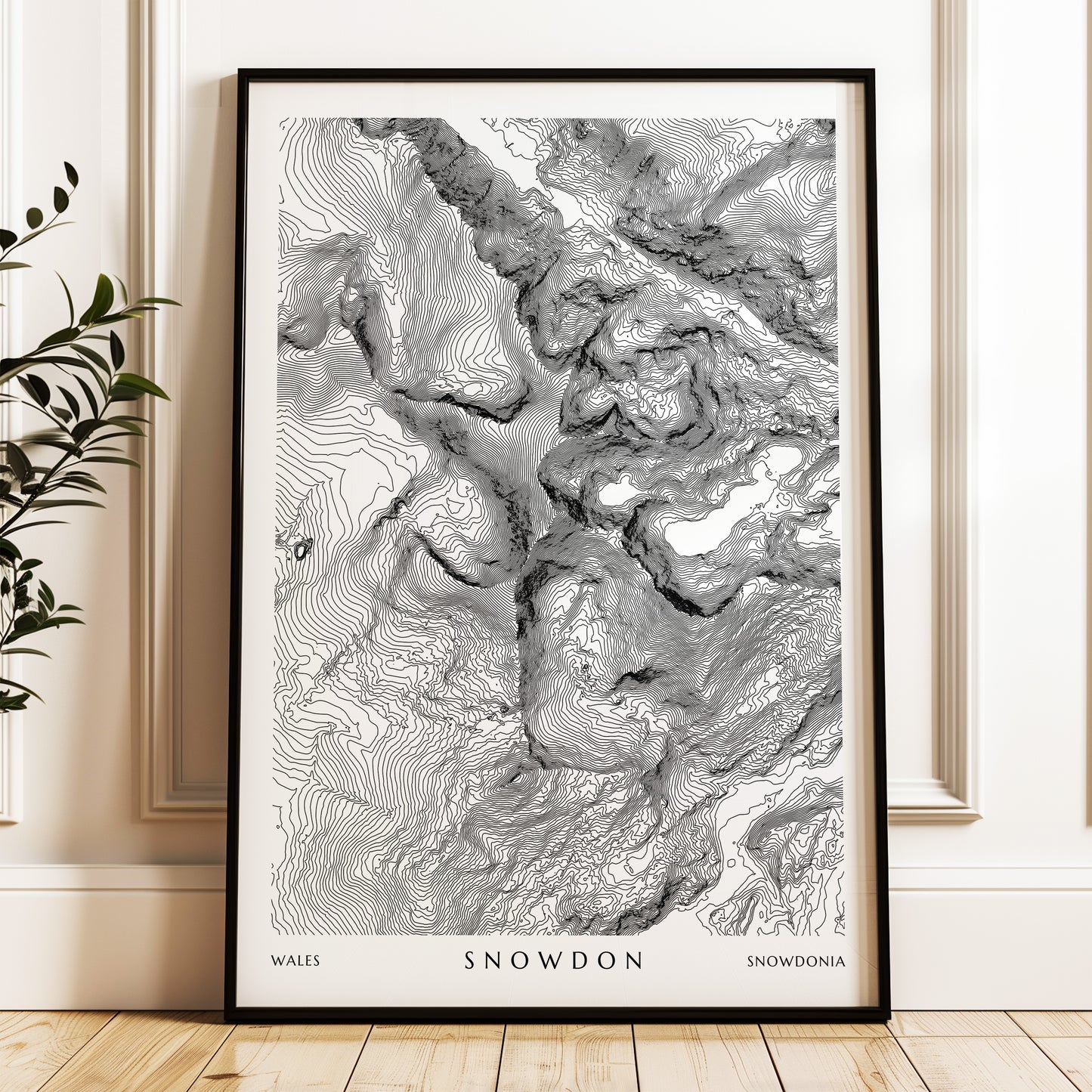 Snowdon_Print