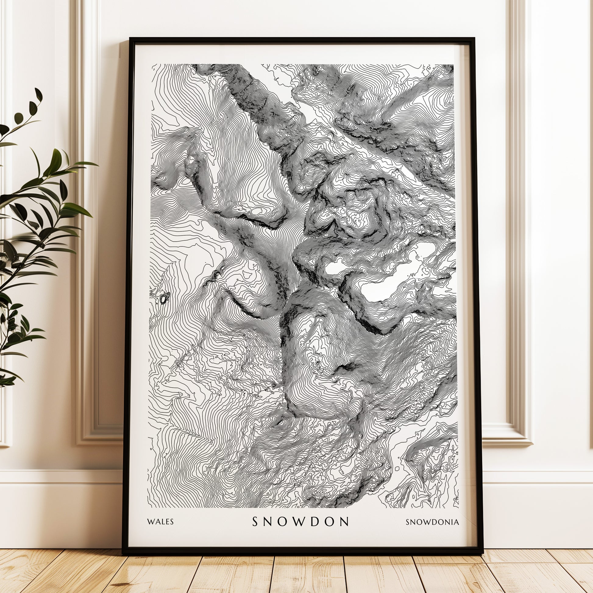 Snowdon_Print