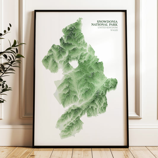 Snowdonia_Print