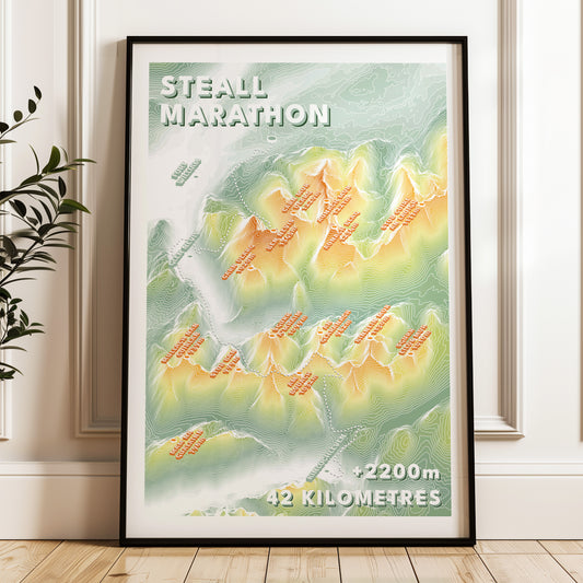 Steall MArathon Poster Print Salomon Skyline