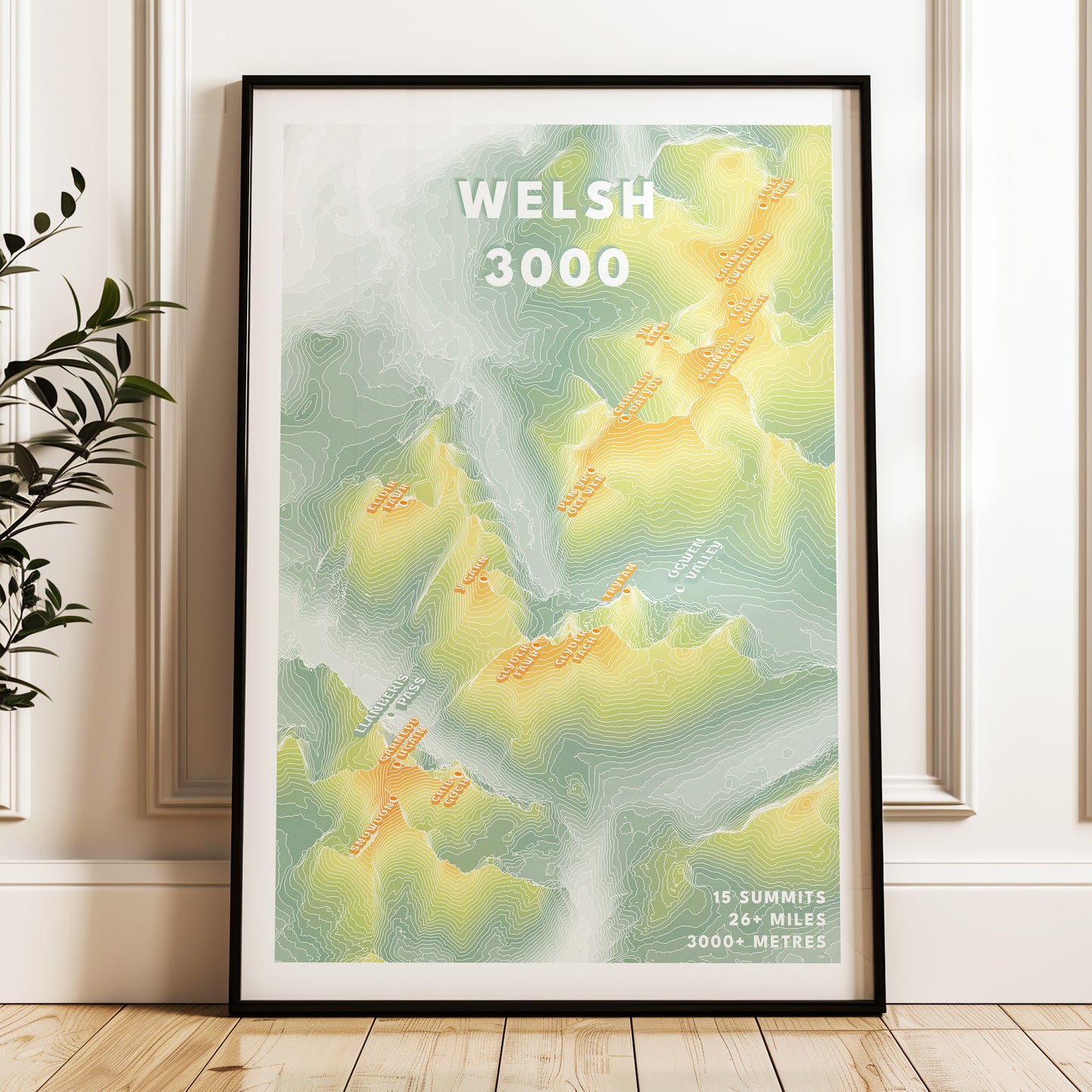Welsh 3000 Print Snowdonia Topographic Map