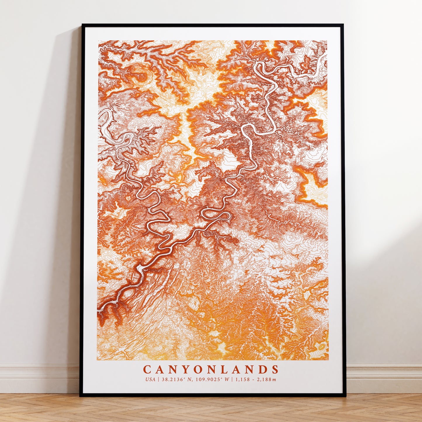 Canyonlands Utah USA Topographic Map Print