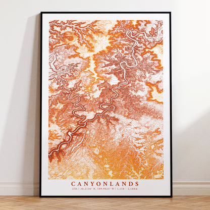 Canyonlands Utah USA Topographic Map Print