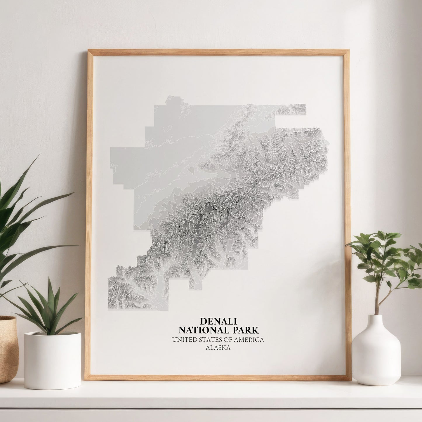 Denali National Park Poster Alaska Topographic Print