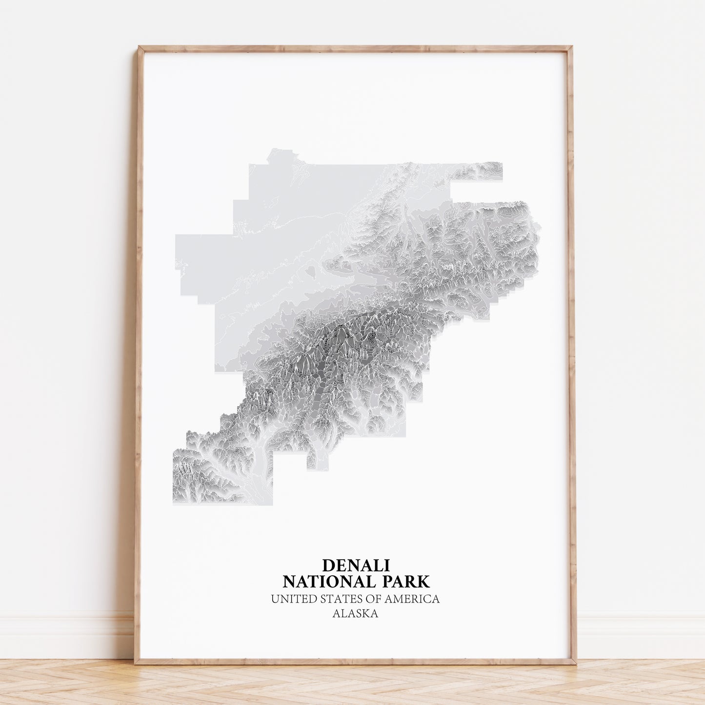 Denali National Park Poster Alaska Topographic Print