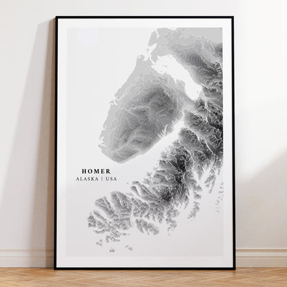 Homer Alaska Print USA Topographic Map