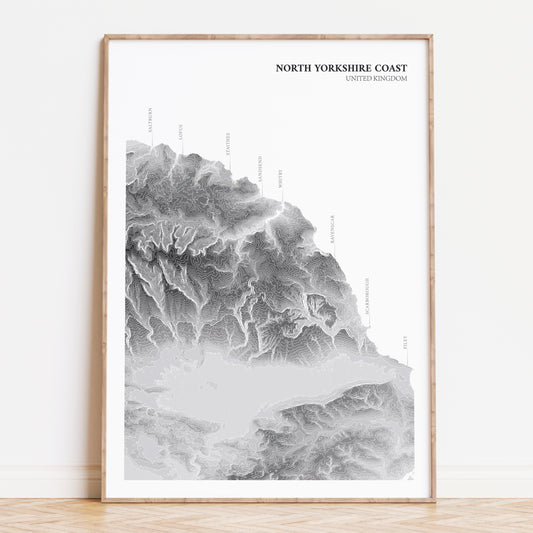 North Yorkshire Coastline Topographic Map Print