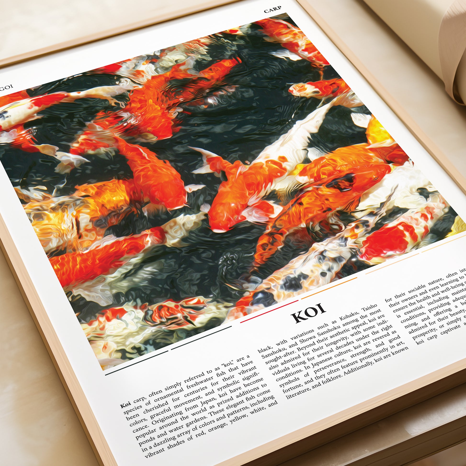 Koi Carp Fishing Japanese Style Poster Print