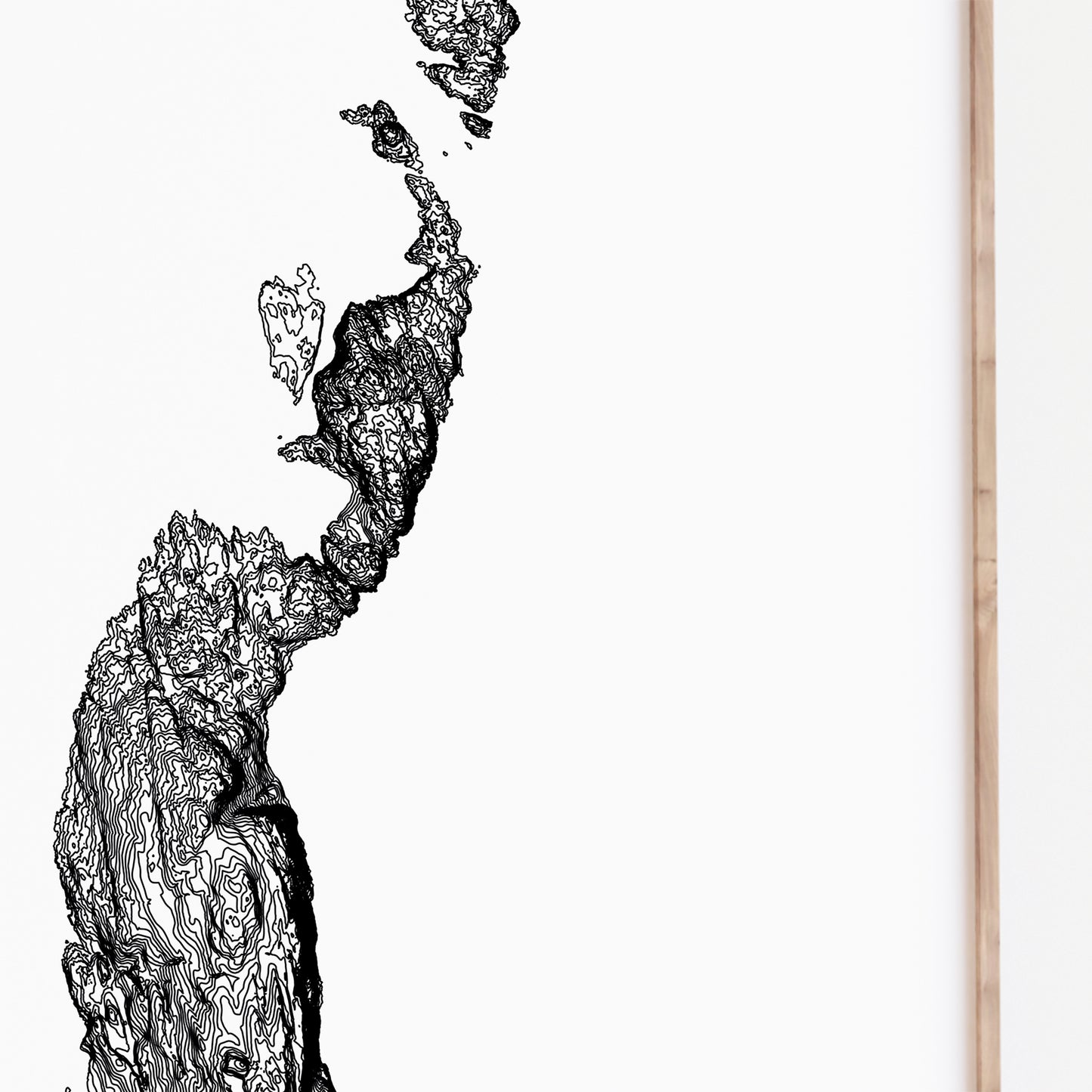 Isle of Raasay Scotland Topographic Map Print